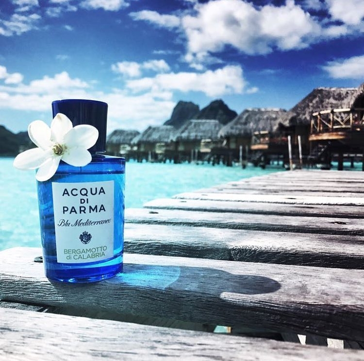 Acqua Di Parma Blu Mediterraneo Bergamotto Di Calabria Acqua Di Parma Blu Mediterraneo Bergamotto Di Calabria