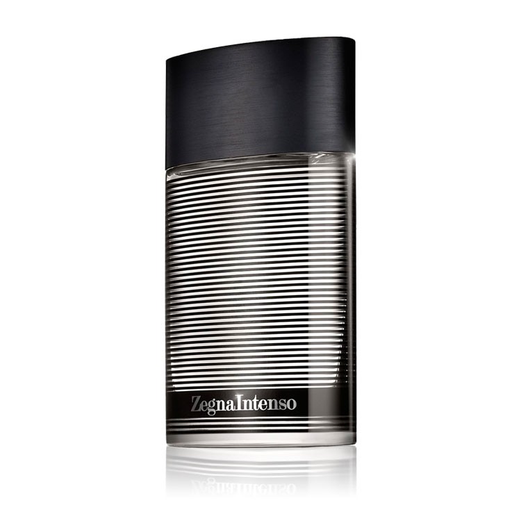 Ermenegildo Zegna Zegna Intenso