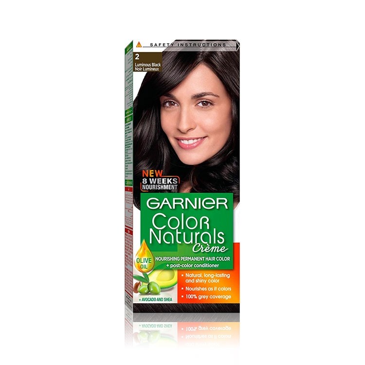Buy Garnier Color Naturals Permanent Hair Color 2 0 Luminous Black