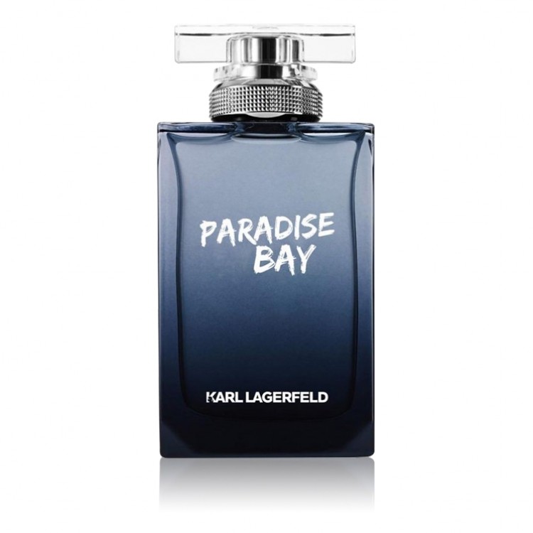 karl lagerfeld pour homme