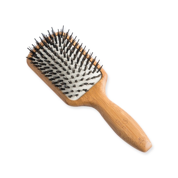 إذا دكتورالاسنان partina city فرشاة شعر carmarthenshirefishermensfederation org